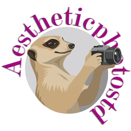 Aesthetic Photo Std App Logo